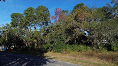 7939 Rhanbuoy Rd, Spring Hill, FL 34606 - photo 3