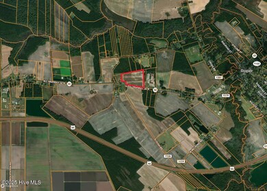 6281 Nc Highway 32 N, Roper, NC 27970 - photo 4