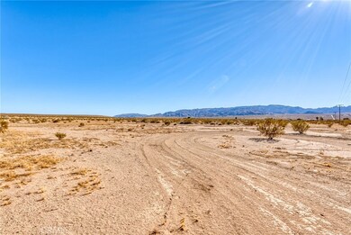 4355 Lear Ave, Twentynine Palms, CA 92277 - photo 4