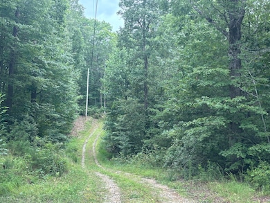 5613 Hendon Rd, Graysville, TN 37338 - photo 4