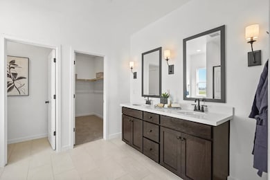 Owner's Bath
