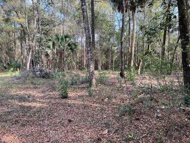 Lot 16 & 17 Owl Ln unit 1, Crawfordville, FL 32327 - photo 2