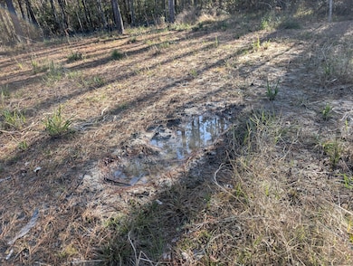 0 Breakwater Loop unit 25694794, Kingsland, GA 31548 - photo 2