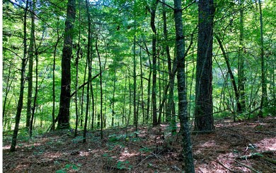 Additional View
