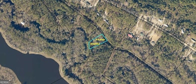 1200 Riverside Dr, Claxton, GA 30417 - photo 3