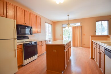 12244 Pear Tree Way, Plainfield, IL 60585 - photo 4