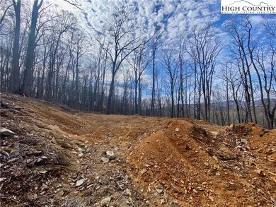 TBD Old Chestnut Mountain Rd, Newland, NC 28657 - photo 2