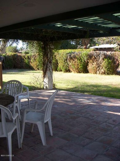 Back Patio