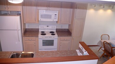 14 Tripyramid Way unit 17, Waterville Valley, NH 03215 - photo 7