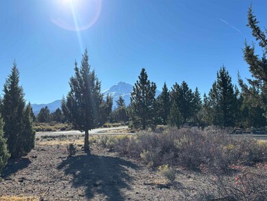 Unit 8-2 Lot 172 Sherwood Rd unit 8-2, Weed, CA 96094 - photo 5