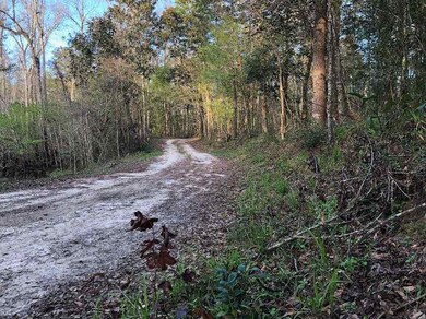 0 Harley Davidson Ln unit 304344, Crawfordville, FL 32327 - photo 7