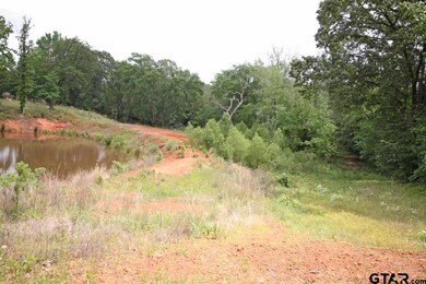 16931 County Road 2203, Arp, TX 75750 - photo 5