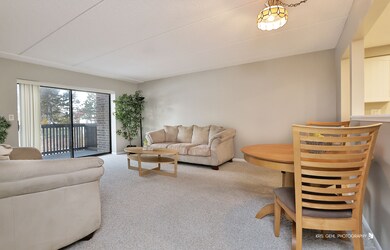 920 Vose Dr unit 208, Gurnee, IL 60031 - photo 3