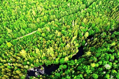 DJI_0334