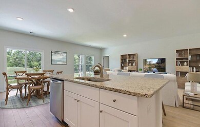 420 American Goldfinch Way, Moncks Corner, SC 29461 - photo 5