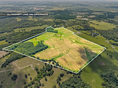 150 Terry Ln, Hopkinsville, KY 42240 - photo 4