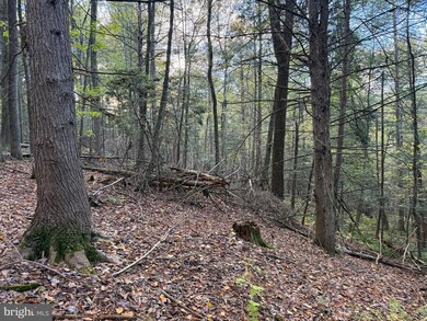 1158 Laurel Grove Rd, New Bloomfield, PA 17068 - photo 3