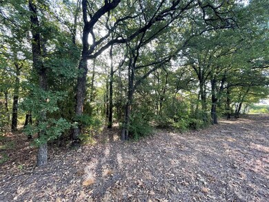 unlisted-address, Denton, TX 76205 - photo 4