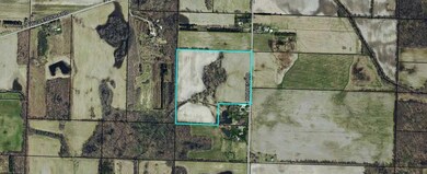 V/L Holden Rd, Glendora, MI 49107 - photo 2