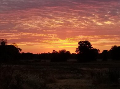 2652 N Dancer Rd, Dexter, MI 48130 - photo 3