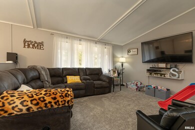 1219 Borders Ln, Harrisburg, IL 62946 - photo 5