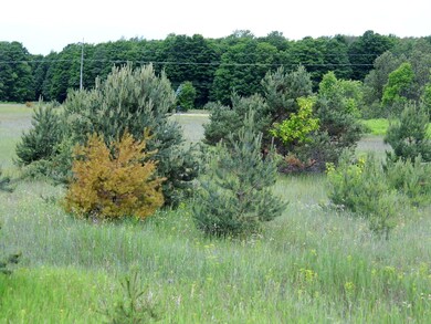 N. Old 27 2 - Copy