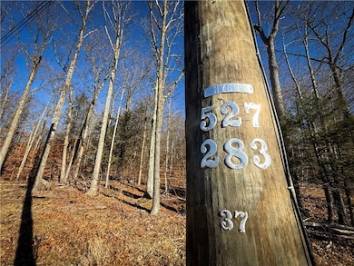 Lot-01 Langford Creek Rd, van Etten, NY 14889 - photo 5