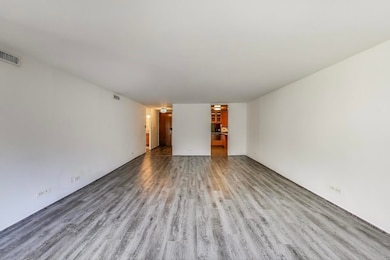 201 E Chestnut St unit 19F, Chicago, IL 60611 - photo 5