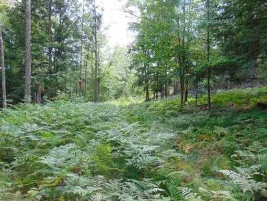 00 U S Route 2, St. Johnsbury, VT 05838 - photo 6