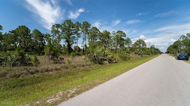 2409 62nd Ave NE, Rural Estates, FL 34120 - photo 2