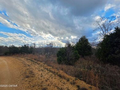 0 B J Woodson Ln unit 2505592, Clifton, TN 38425 - photo 7