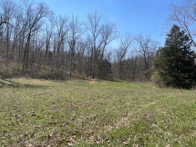 Tbd Center Rd, Ozark, MO 65721 - photo 5