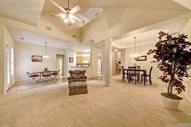 10502 Canyon River, Helotes, TX 78023 - photo 5