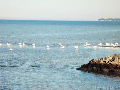 A view with swans!