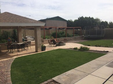Downing back yard