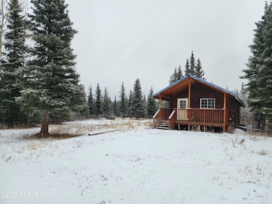 L11 B3 Tri Valley, Healy, AK 99743 - photo 6