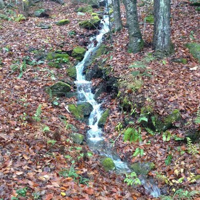 A beautifully sounding seasonal waterfall runs through the front yard during storms.