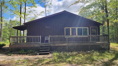 1385 N Hubbard Lake Rd, Spruce, MI 48762 - photo 4