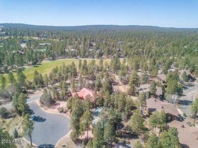 LodgepoleDrone-4