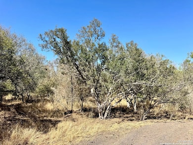 0 County Road 215, McCoy, TX 78113 - photo 3