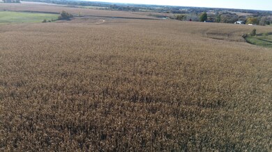 52 Scarlet Ave, Bloomfield, IA 52537 - photo 5