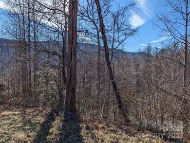 117 Ironwood Ln unit C-20, Black Mountain, NC 28711 - photo 6