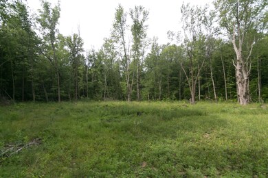 10441-W-PQ-Ave-104