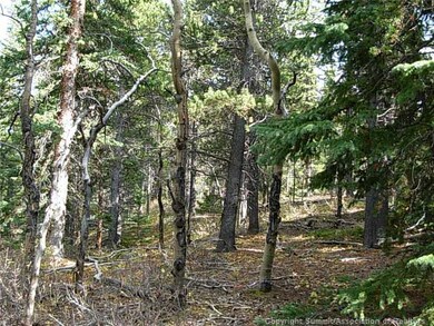Land/Lot.