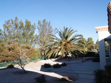Yard/Garden.