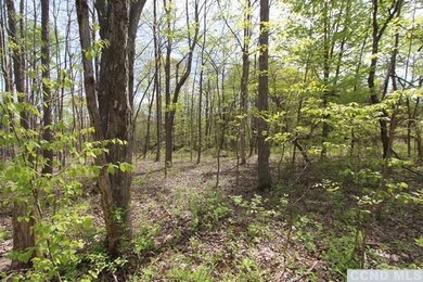 0 Ferris Ln unit 114941, Red Hook, NY 12571 - photo 3