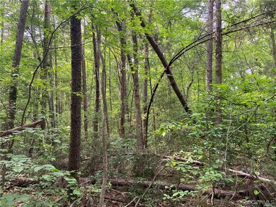 0 Jefferson Hwy unit 2315353, Mineral, VA 23117 - photo 4