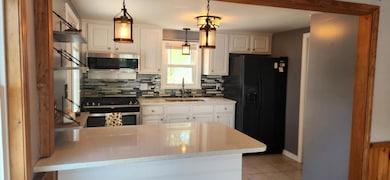 Brindle kitchen 2