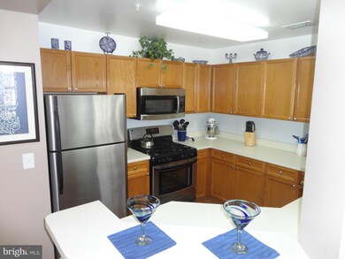 45070 Brae Terrace unit 103, Ashburn, VA 20147 - photo 4