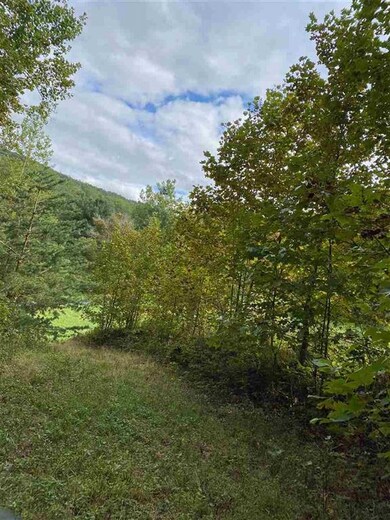 0 Hollow Run Rd, Luray, VA 22835 - photo 3